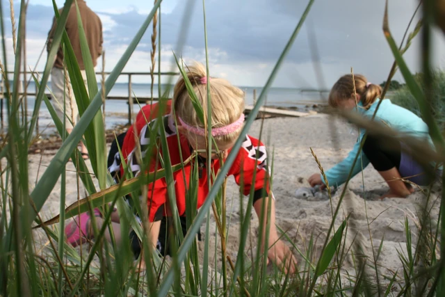 Billede af børn der bygger i sandet på stranden