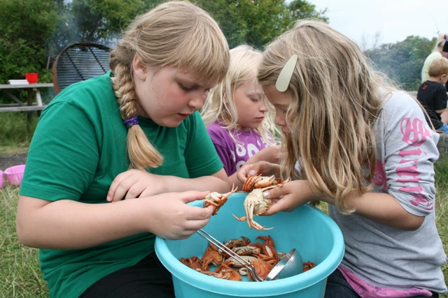 Billede af børn der undersøger kogte krabber
