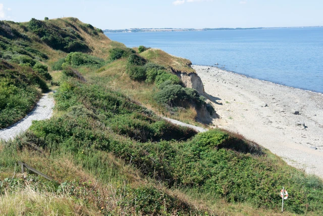 Billede af stranden ved Ertebølle