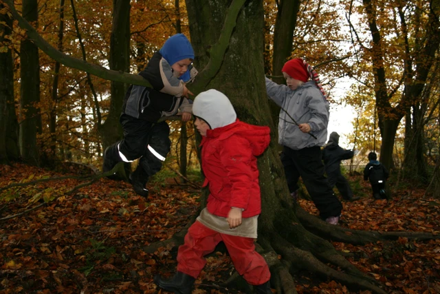 Billede af børn der leger i skoven