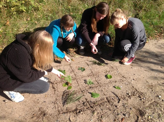billede af som spiller Bingo på jorden, med blade fra forskellige træer