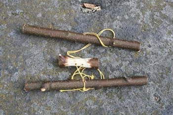Billede af et stykke legetøj, der hedder en Hvæsegase, fordi det kan sige en lyd som en vred gås.