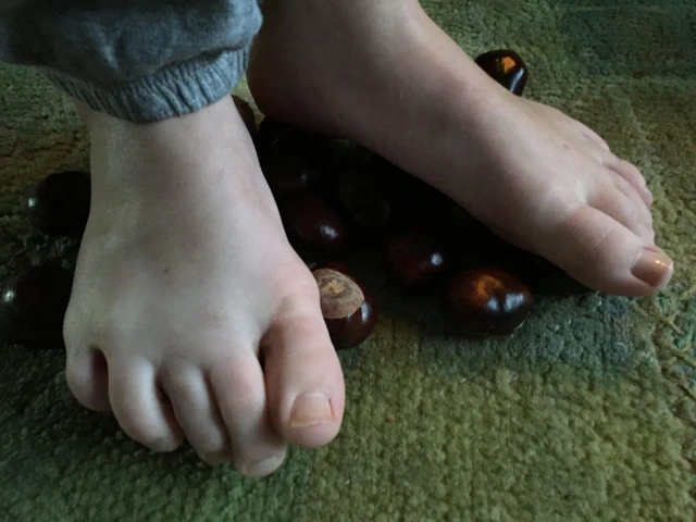 Billede af bare fødder der står på kastanjer