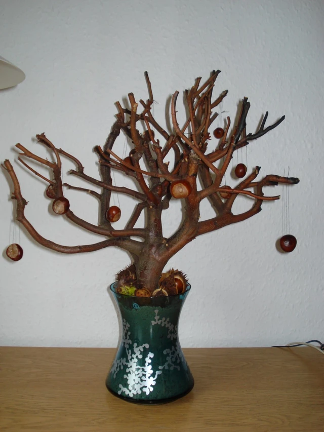 Billede af årstidstræ i vase, hvor der er hængt kastanjer på
