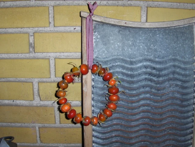 Billede af en hybenkrans