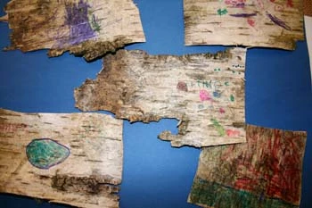 Billede af tegninger laver på birkebark