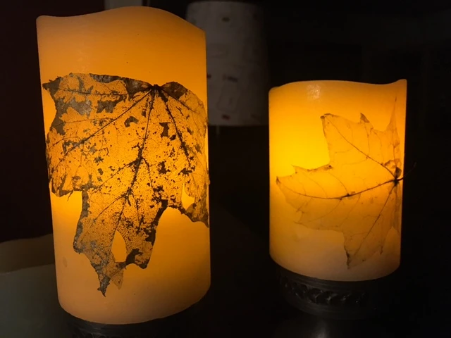 Billede af LED-lys med bladskeletter fra spidsløn