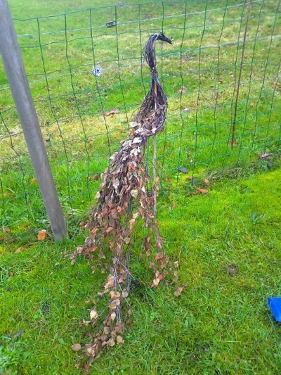 Billede af fugl (påfugl) lavet ud af pirkeris