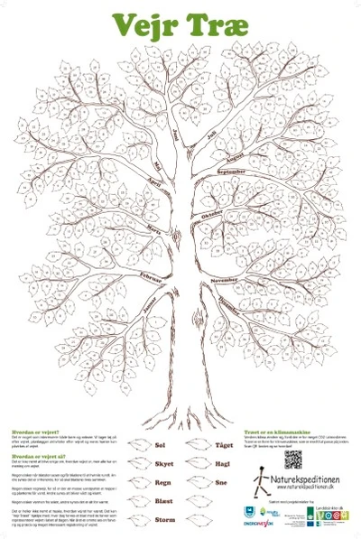 Billede af et vejrtræ