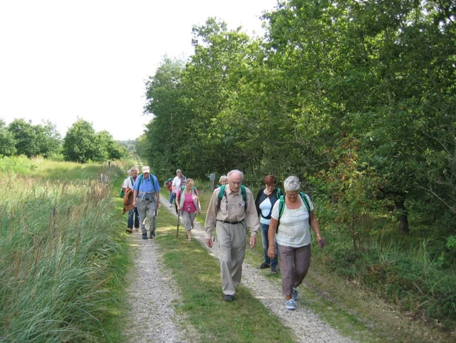 Billede af gåtur på Louns