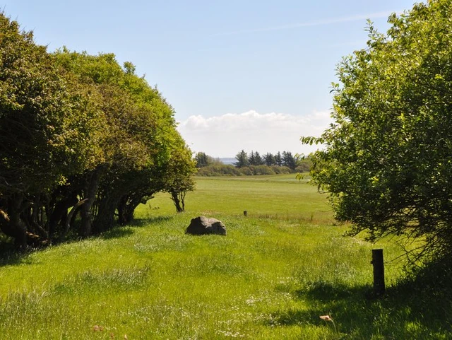 Billede af naturen på Livø