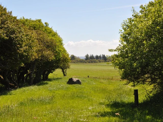 Billede af naturen på Livø
