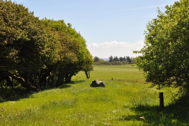 Billede af naturen på Livø