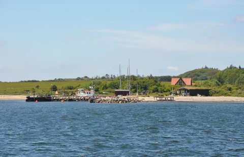Billede af Havnen på Livø