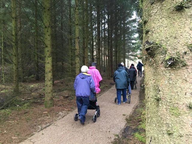 Billede af rolatorsti i Jenle