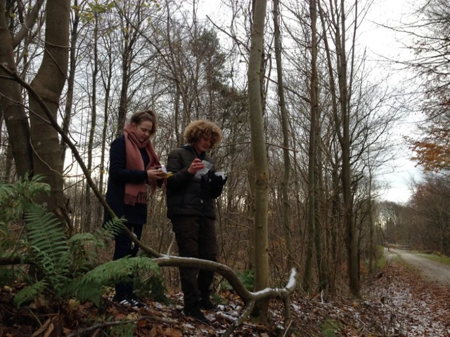 Billede af unge mennesker på GPS jagt i skoven