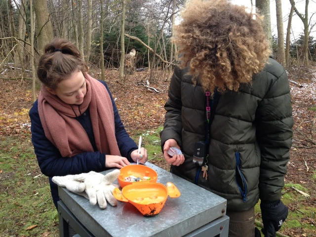 Billede af unge mennesker der undersøger GPS skatten