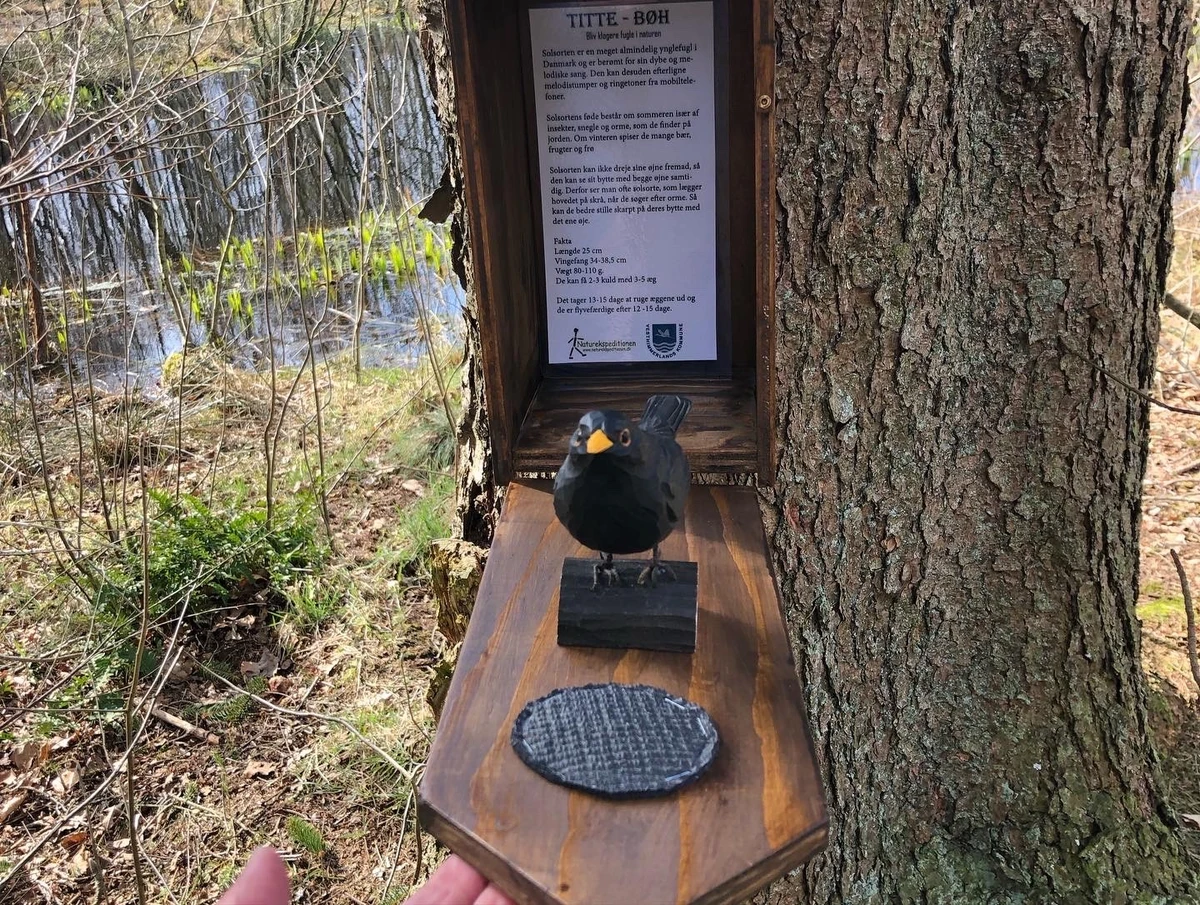 Billede af fuglekasse med træfugl og formidling