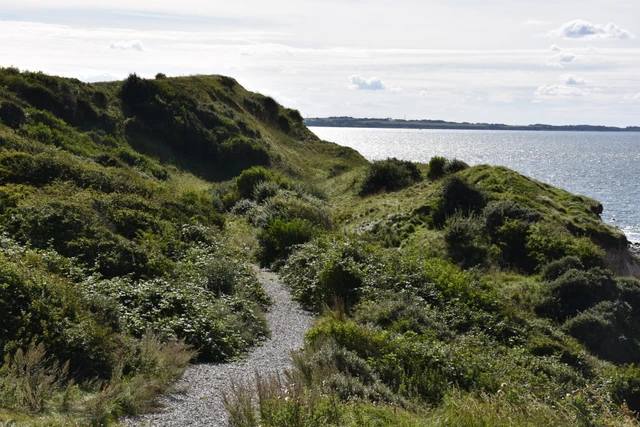 Billede af sti ved Ertebølle strand