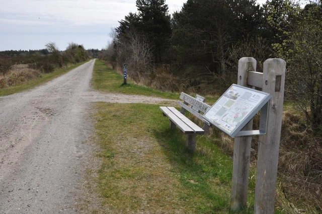 Billede af bænk og formidlingsskilt ved Himmerlandsstien 