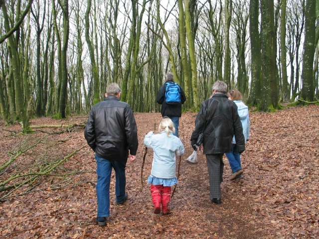 Billede af folk der vandre i skoven ved Illeris