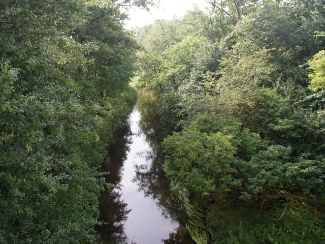 Billede af Lerkenfeldt å