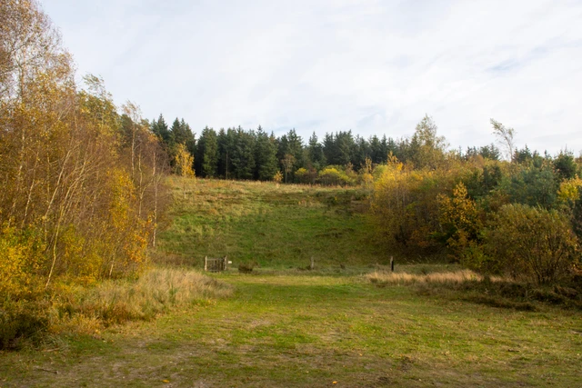 Billede fra Uhrehøje Plantage