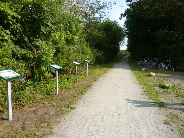 Billede af stien ud mod Vindblæs hede