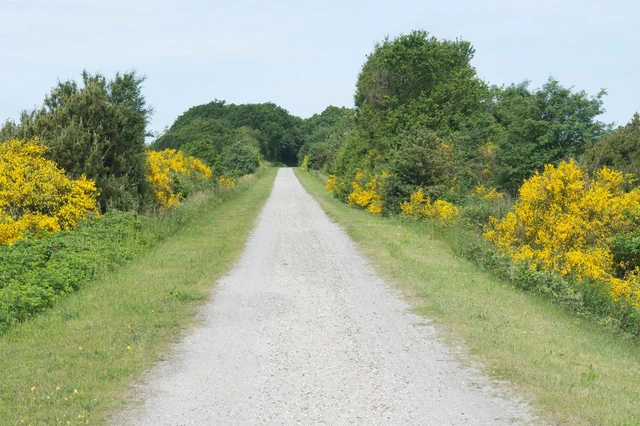 Banestien ved Vester Ørbæk