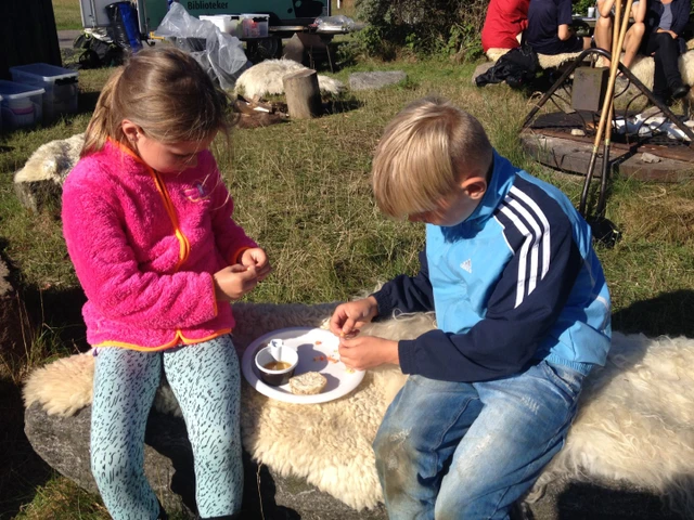 Billede af der pilles rejer på Livø