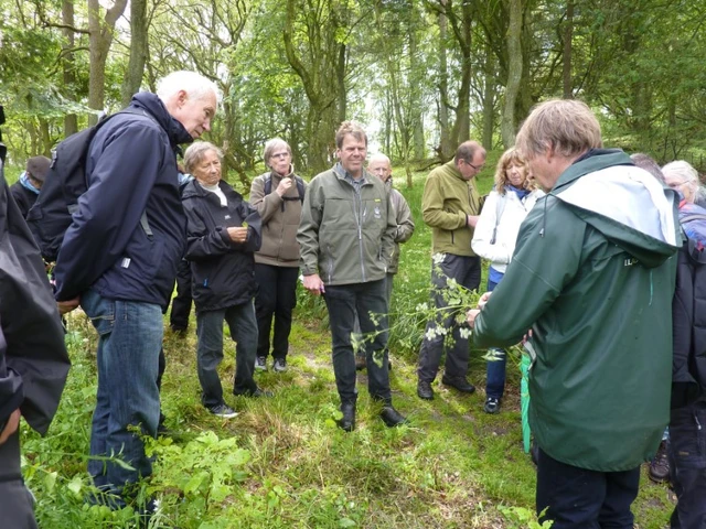 Billede af der plukkes spiselige blomstr på Livø