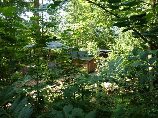 Billede af naturbasen i Aalestrup