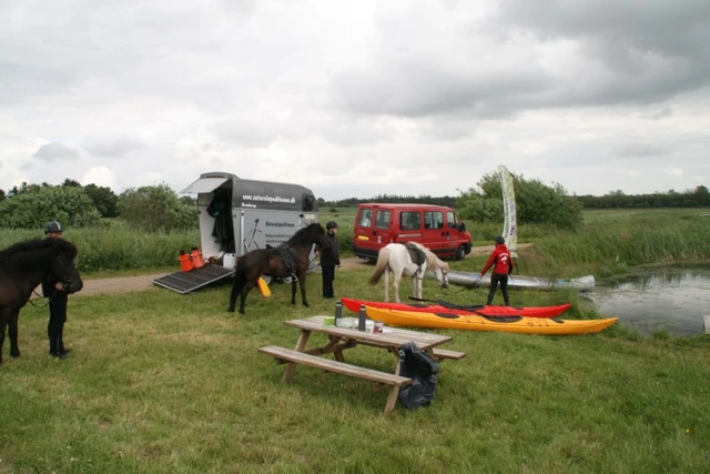 Billede af ponyer og kajakker ude ved Vildsted sø