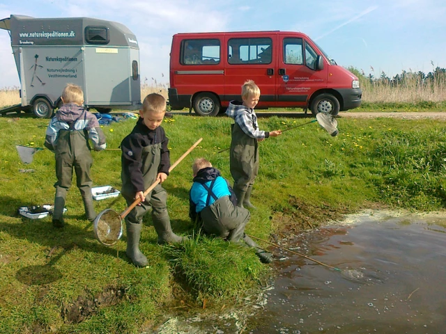 Billede af fire børn, der fisker med net ved søen
