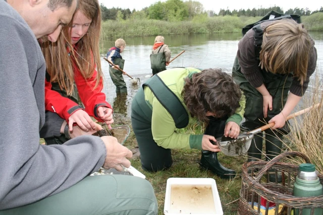 Billede af folk der undersøger deres små fiskenet, for at se hvad der er fanget i søen