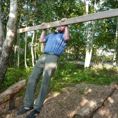 Billede af fitness muligheder i skoven i Vindblæs