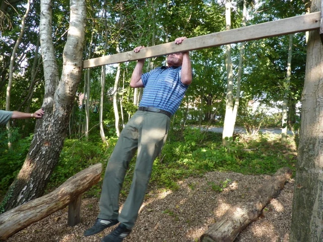 Billede af fitness muligheder i skoven i Vindblæs