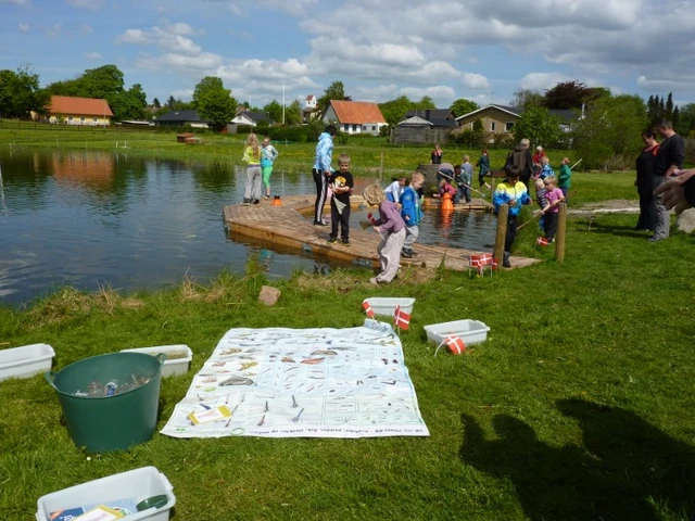 Billede af en dug i græsset, hvor man kan se, hvad der kan fanges i søen
