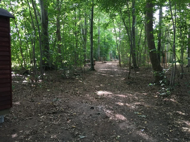 Billede af Tarzanbanen i skoven ved Østrup