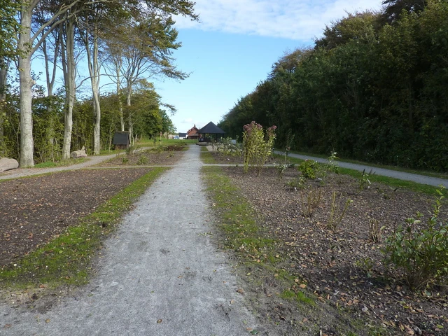 Billede af beplantningen ved Østrup Naturanlæg