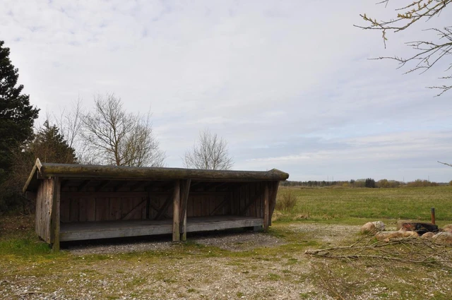 Billede af shelterpladsen ved De Himmerlandske Heder