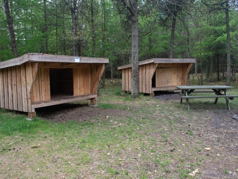 Shelters i Myrhøj Plantage i Vesthimmerland