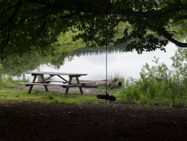 Billede af søen i Uhrehøj