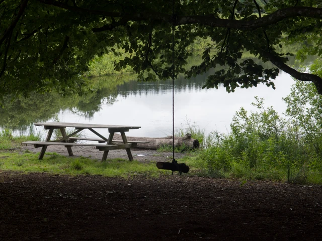 Billede af søen i Uhrehøj