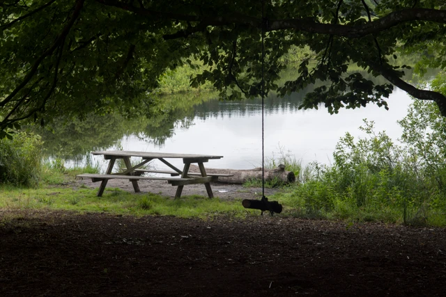 Billede af søen i Uhrehøj