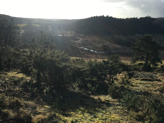 Billede fra Skivumkrat