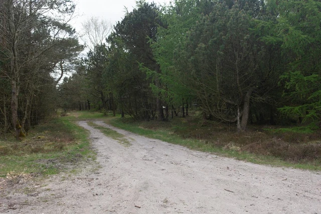 Billede af den vej, der går ind til shelterpladsen