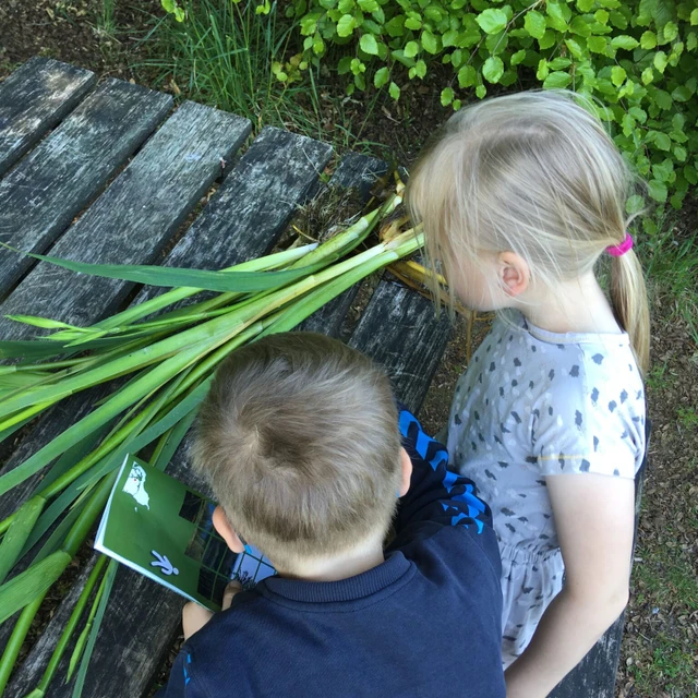 Børn er i gang med at tilberede mad