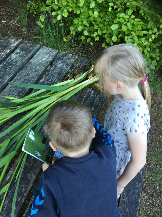 Billede af børn der er i gang med at tilberede mad
