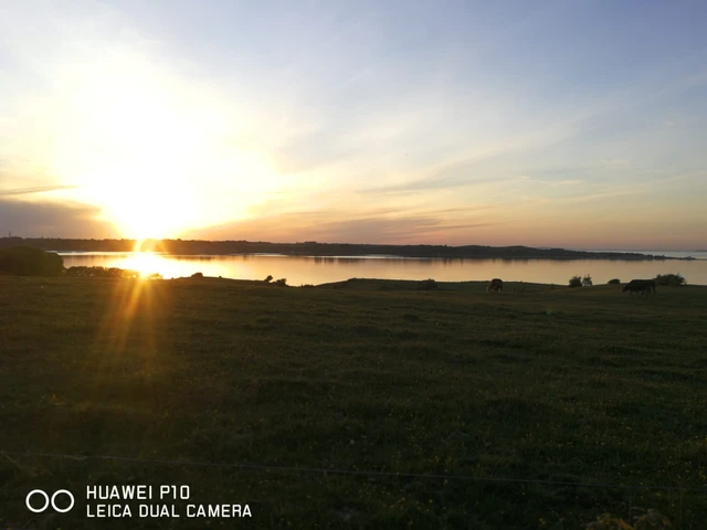 Billede af solnedgangen over Limfjorden